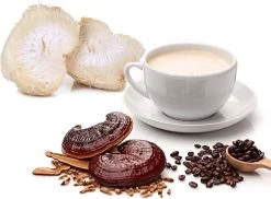 ToshiFarm Lion's Mane En Reishi Koffie - 250 Gram - Biologisch & Fair Trade - Verbetering In Concentratievermogen En Leervermogen - Filterkoffie Met Paddenstoel 17 ToshiFarm Lion's Mane En Reishi Koffie - 250 Gram - Biologisch & Fair Trade - Verbetering In Concentratievermogen En Leervermogen - Filterkoffie Met Paddenstoel -Koffiehuis 1200x884